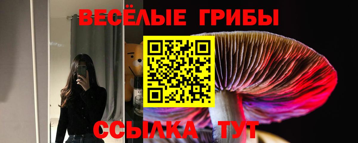 Галлюциногенные грибы прущие грибы Назарово